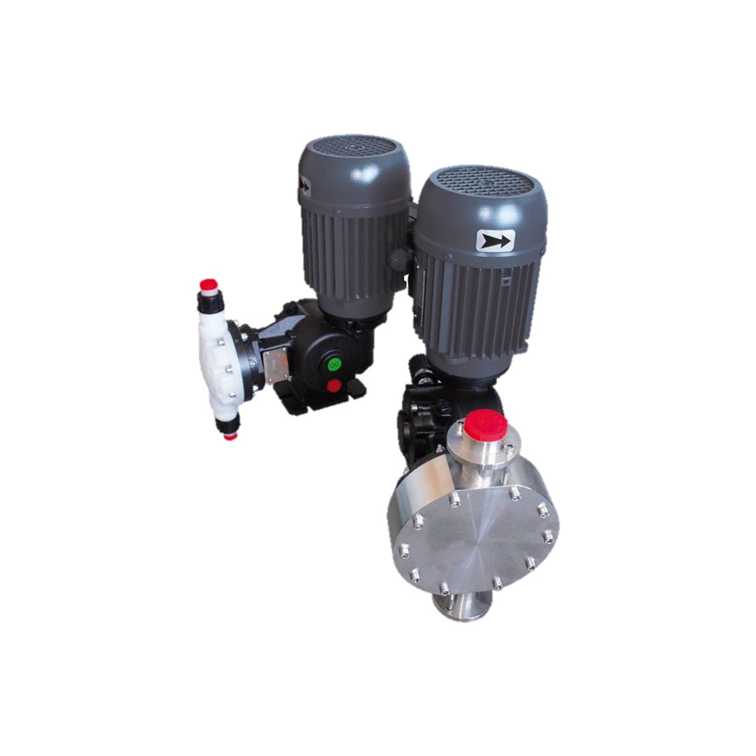 Injecta Taurus TM.2-4-6 Diaphragm Dosing Pump