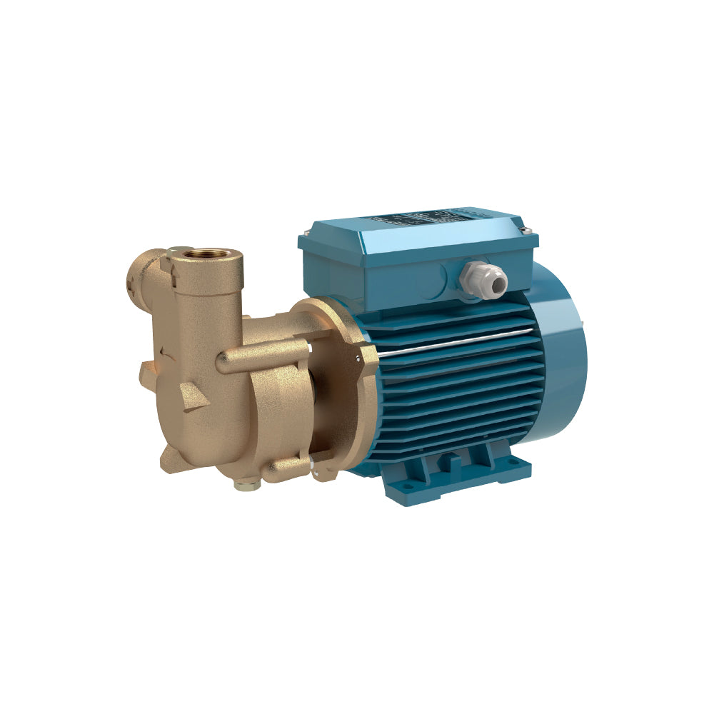 Calpeda CAM 90/A — Self-Priming Liquid Ring Pump